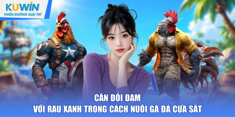 Cân đối đạm với rau xanh trong cách nuôi gà đá cựa sắt