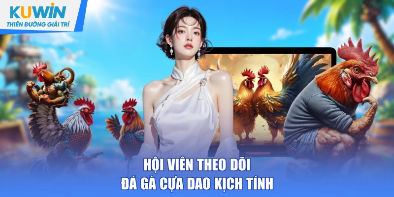 Hội viên theo dõi đá gà cựa dao kịch tính