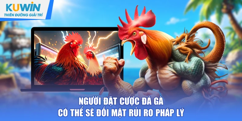 Người đặt cược đá gà có thể sẽ đối mặt rủi ro pháp lý