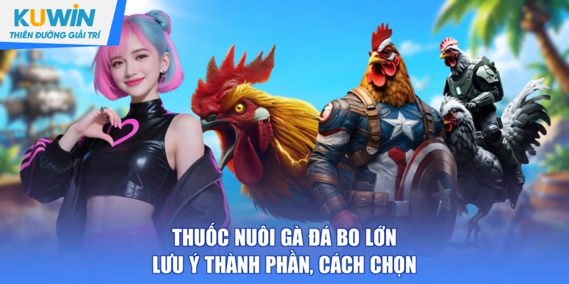thuốc nuôi gà đá bo lớn